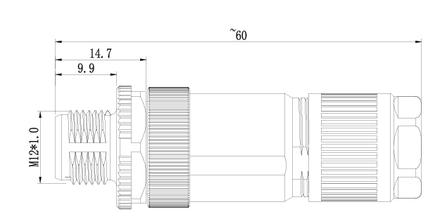 SZCNT12-12_25.jpg
