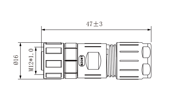 SZCNT12-12_11.jpg