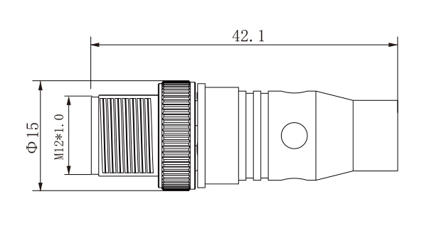 SZCNT12-12_05.jpg