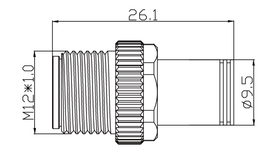 SZCNT12-12_03.jpg