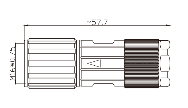 SZCNT12-12_21.jpg